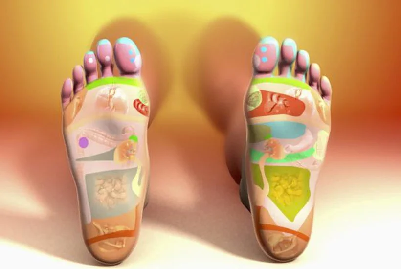 Voetreflexologie kaart - reflexzones op de voeten